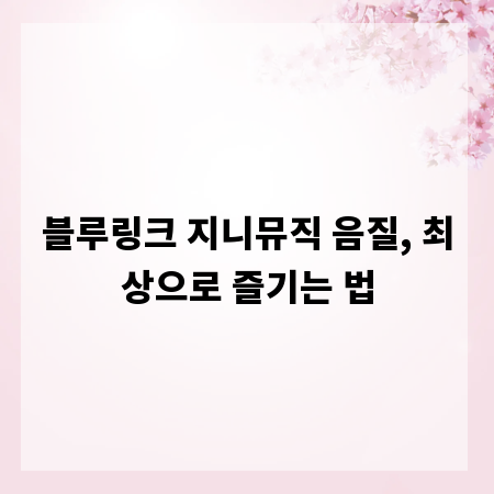 블루링크 지니뮤직 음질, 최상으로 즐기는 법