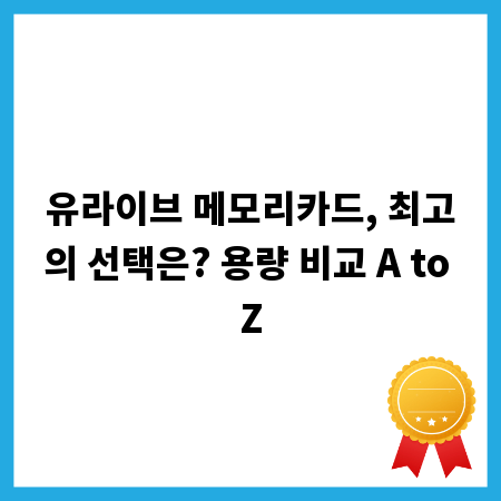 유라이브 메모리카드, 최고의 선택은? 용량 비교 A to Z