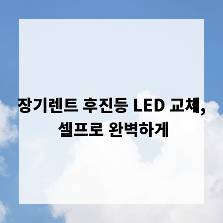 장기렌트 후진등 LED 교체, 셀프로 완벽하게