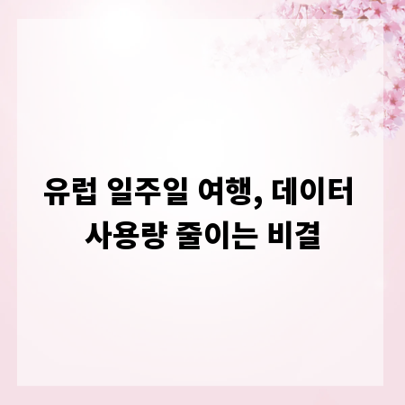 유럽 일주일 여행, 데이터 사용량 줄이는 비결