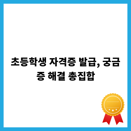 초등학생 자격증 발급, 궁금증 해결 총집합