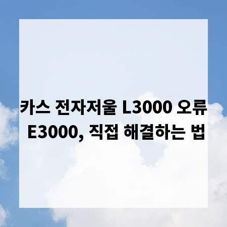 카스 전자저울 L3000 오류 E3000, 직접 해결하는 법