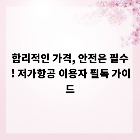 합리적인 가격, 안전은 필수! 저가항공 이용자 필독 가이드