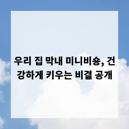 우리 집 막내 미니비숑, 건강하게 키우는 비결 공개