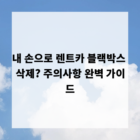 내 손으로 렌트카 블랙박스 삭제? 주의사항 완벽 가이드