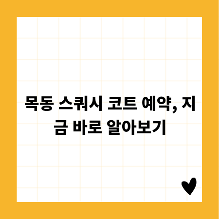 목동 스쿼시 코트 예약, 지금 바로 알아보기