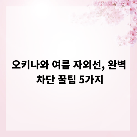 오키나와 여름 자외선, 완벽 차단 꿀팁 5가지
