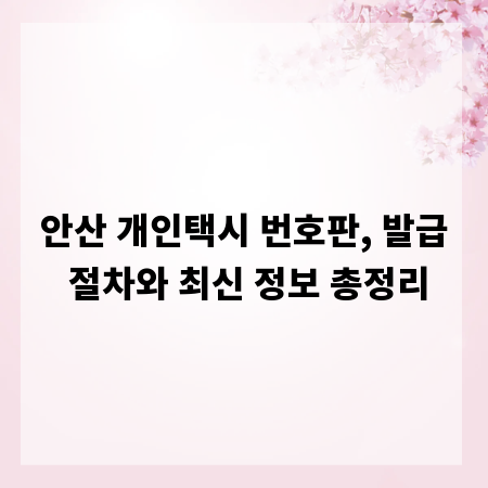 안산 개인택시 번호판, 발급 절차와 최신 정보 총정리