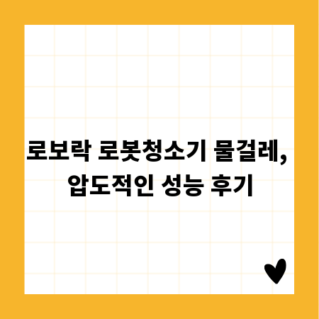 로보락 로봇청소기 물걸레, 압도적인 성능 후기