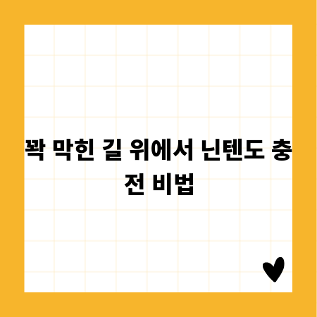 꽉 막힌 길 위에서 닌텐도 충전 비법