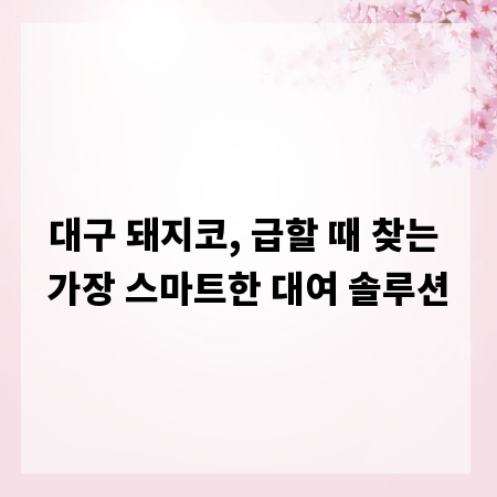 대구 돼지코, 급할 때 찾는 가장 스마트한 대여 솔루션