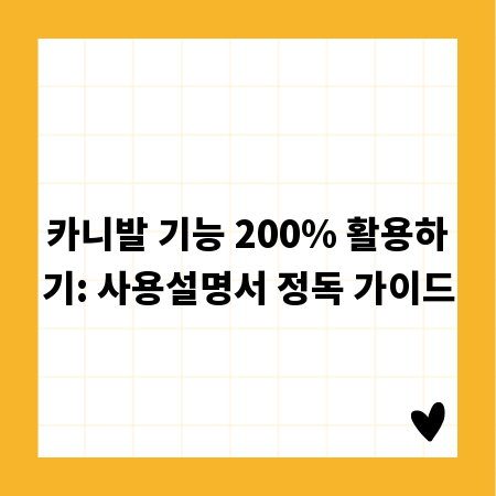 카니발 기능 200% 활용하기: 사용설명서 정독 가이드