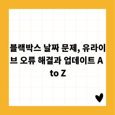 블랙박스 날짜 문제, 유라이브 오류 해결과 업데이트 A to Z
