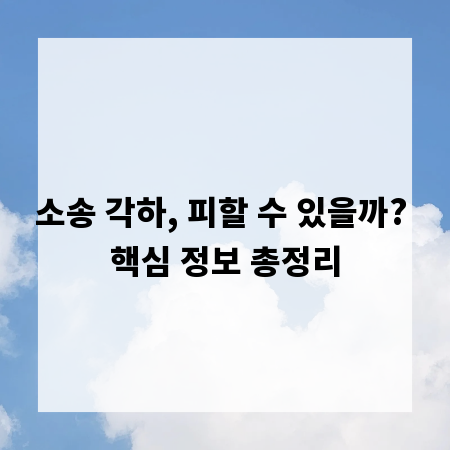 소송 각하, 피할 수 있을까? 핵심 정보 총정리