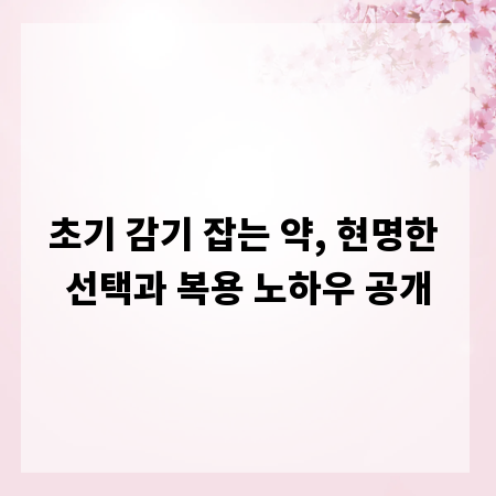 초기 감기 잡는 약, 현명한 선택과 복용 노하우 공개