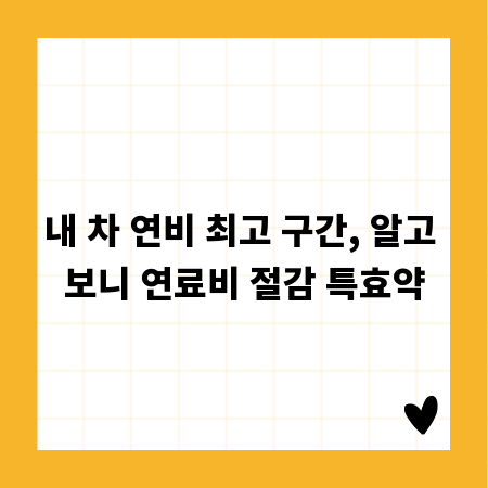 내 차 연비 최고 구간, 알고 보니 연료비 절감 특효약