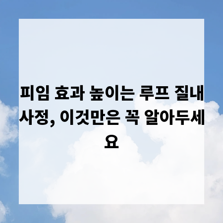 피임 효과 높이는 루프 질내사정, 이것만은 꼭 알아두세요